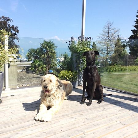 Lakelodge Romanshorn Extérieur photo